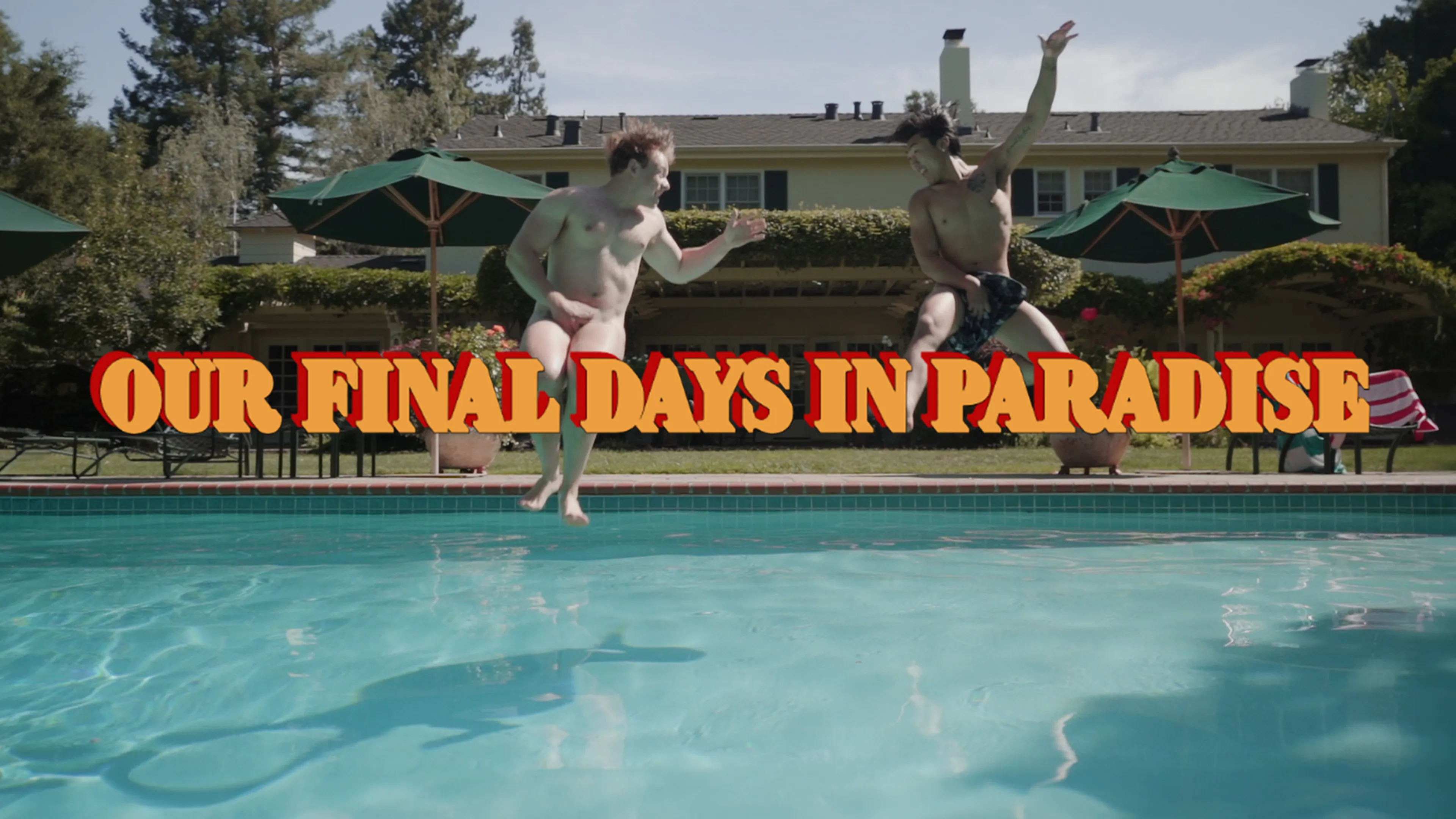 Our Final Days In Paradise poster